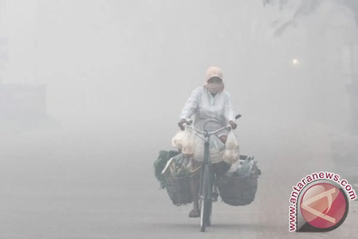 Kabut Asap Tebal Selimuti Pontianak, Pengendara Lambatkan Laju