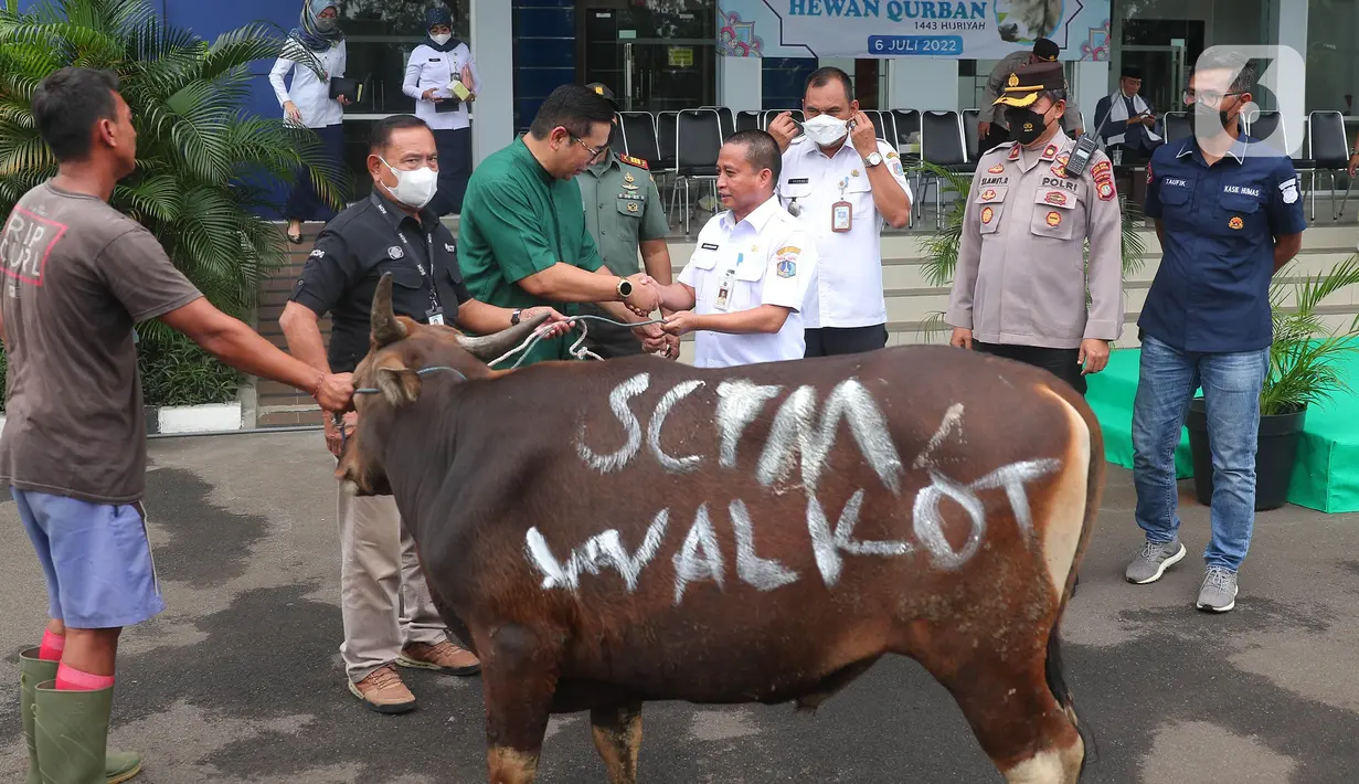 Corporate Secretary Division Head SCM Grup Gilang Iskandar (kemeja hijau) menyerahkan hewan kurban secara simbolis di studio 5 Indosiar, Daan Mogot, Jakarta, Rabu (6/7/2022). Sebanyak 65 hewan kurban ini terdiri dari 8 ekor sapi dan 57 ekor kambing. (Liputan6.com/Angga Yuniar)