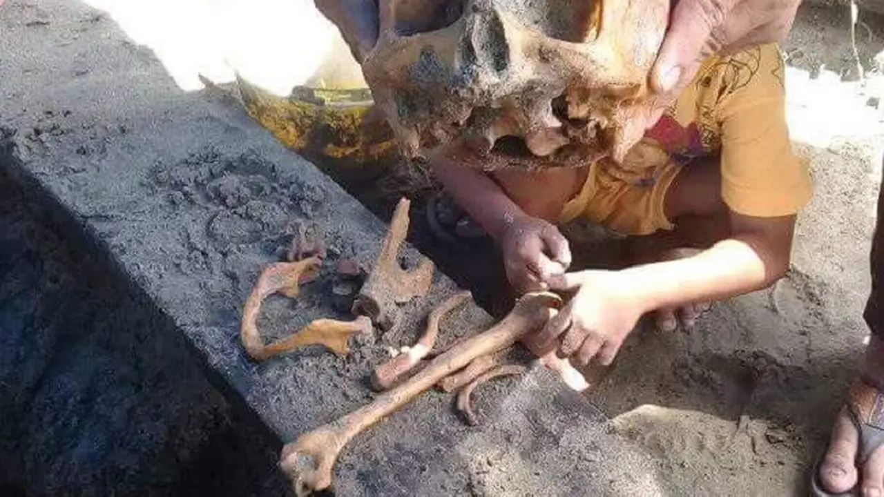 Tengkorak Manusia Misterius di Galian Sumur Warga Pohuwato