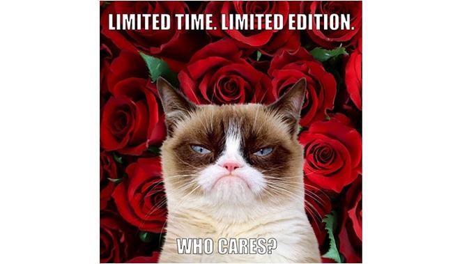 Grumpy Cat (Sumber: Instagram/realgrumpycat)