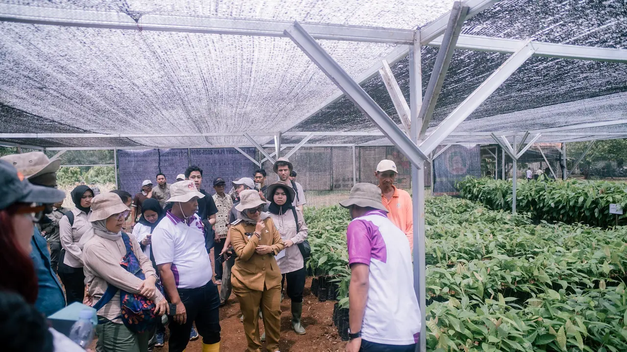 Penanganan degradasi lahan di Lampung Timur menggunakan sistem pengolahan berkelanjutan