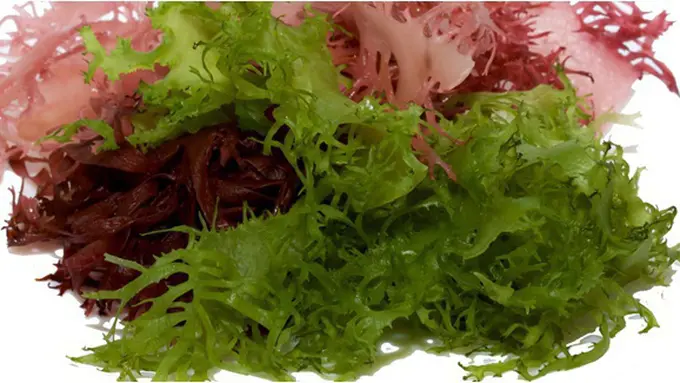 Foto: copyright by shutterstock.com