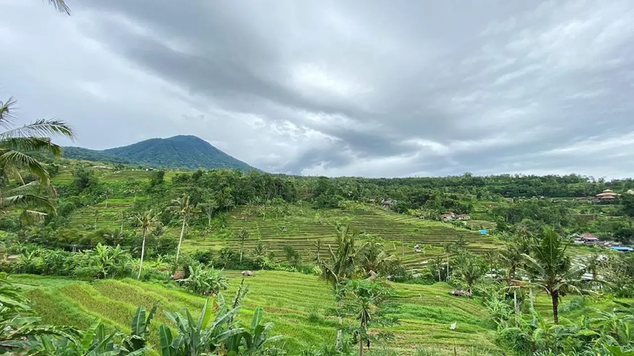 Jatiluwih