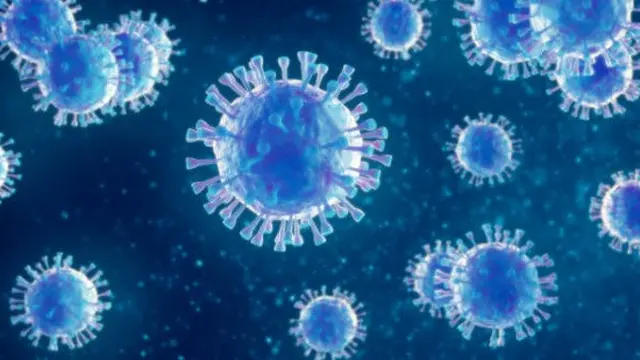 Ilustrasi virus.