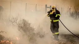 Petugas memadamkan api yang melanda kawasan Somerset West dekat Cape Town, Afrika Selatan, Rabu (4/1). Kebakaran tersebut telah menghancurkan sebagian wilayah perkebunan tertua di Afsel. (AP Photo / Stefan Smuts)