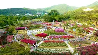 Di Seoul, Korea Selatan, musim panas ini dirayakan dengan mengadakan The Rose Garden Walking Festival.