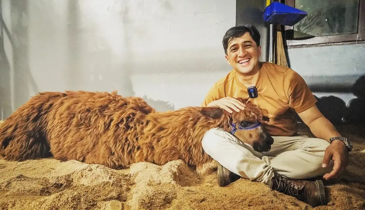 Hobi mengadopsi binatang, membuat Irfan Hakim pun jatuh cinta dengan Poka saat pertama melihatnya. Punya bulu cokelat yang tebal membuat Alpaca tersebut terlihat sungguh menggemaskan. Bapak lima anak ini pun tak berhenti untuk selalu memberikan kasih sayang kepadanya. (Liputan6.com/IG/@irfanhakim75)