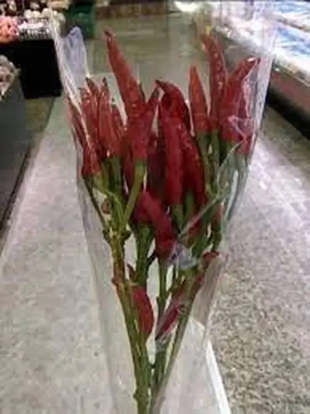 10 Potret Kado Nyeleneh untuk Hari Valentine Ini Bikin Pacar Kesal