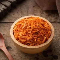 Ilustrasi ebi/copyright shutterstock.com/Kritchai7752