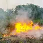 Kebakaran lahan di Pekanbaru mengepulkan kabut asap yang mulai mendekati pemukiman warga. (Liputan6.com/M Syukur)