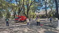 Serangan Tawon Vespa di Keraton Surakarta Memakan Korban