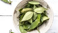Cara Menggunakan Daun Salam dalam Masakan, Rahasia Aroma Tradisional