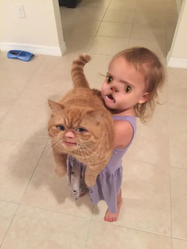 6 Editan Face Swap Manusia dengan Hewan Ini Hasilnya Bikin Merinding, Absurd Banget