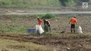 Pekerja melakukan pembersihan rumput liar di Setu Babakan, Jakarta, Jumat (14/7). Setu Babakan akan menjadi lokasi pelaksanaan Lebaran Betawi 2017 yang akan digelar pada 21 - 23 Juli 2017. (Liputan6.com/Helmi Fithriansyah)