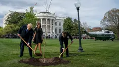 Melania Trump melihat Presiden Donald Trump dan Presiden Prancis Emmanuel Macron saat menggunakan sekop dalam upacara penanaman pohon di South Lawn Gedung Putih, Washington (23/4). (AP Photo / Andrew Harnik)