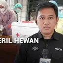 Vaksin dan Steril Hewan Gratis!