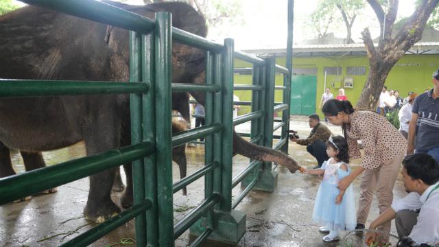 (Foto: Liputan6.com/Dian Kurniawan)