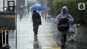 Pedagang menjajakan jas hujan saat hujan deras di kawasan Thamrin, Jakarta, Rabu (23/11/2022). Kepala Pelaksana Badan Penanggulangan Bencana Daerah (BPBD) DKI Jakarta Isnawa Adji mengimbau masyarakat untuk mengurangi aktivitas di luar rumah apabila Jakarta mengalami cuaca ekstrem. (Liputan6.com/Faizal Fanani)