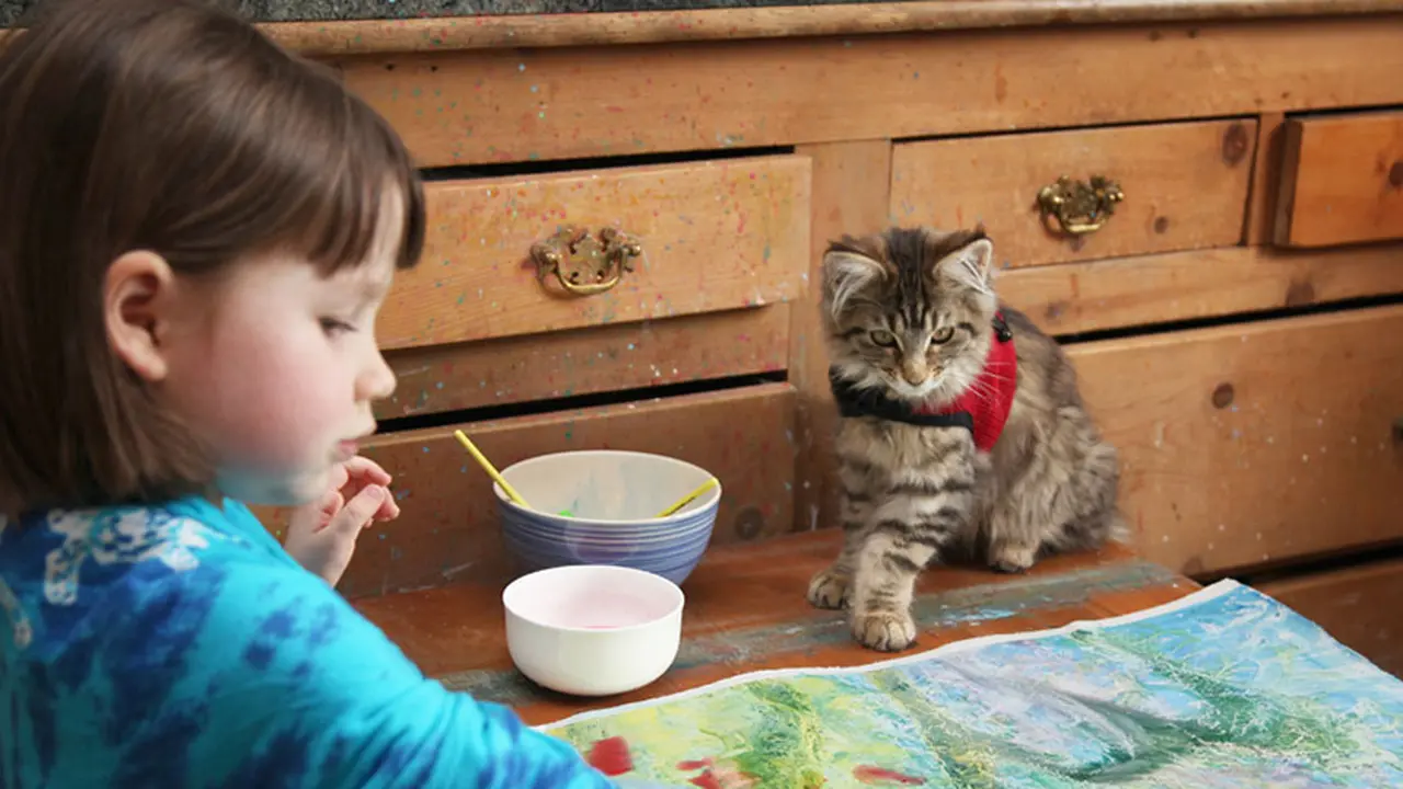 [Bintang] kisah kucing autisme 