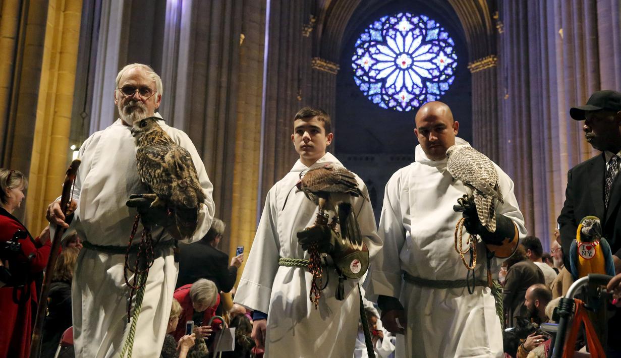Sejumlah elang berjalan memasuki gereja Katredal Santo John the Divine untuk diberi pemberkatan pada 31st annual Feast of Saint Francis, New York, Minggu (4/10/2015). (REUTERS/Elizabeth Shafiroff)
