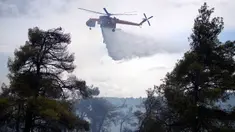 Helikopter menjatuhkan air di atas hutan selama kebakaran hutan di pinggiran kota Stamata, di utara Athena, Yunani, Senin, 4 September 2023. (AP Photo/Thanassis Stavrakis)