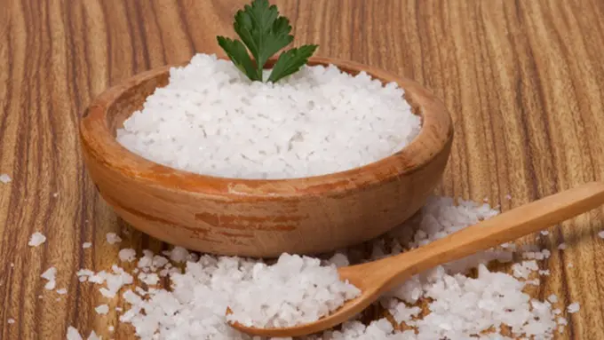 copyright by Shutterstock.com