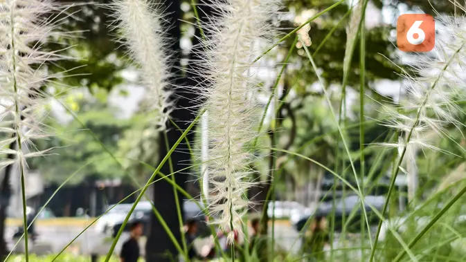 <p>Hasil jepretan kamera Vivo X200 Pro yang segera dirilis di Indonesia (Liputan6.com/ Agustin Setyo Wardani)</p>