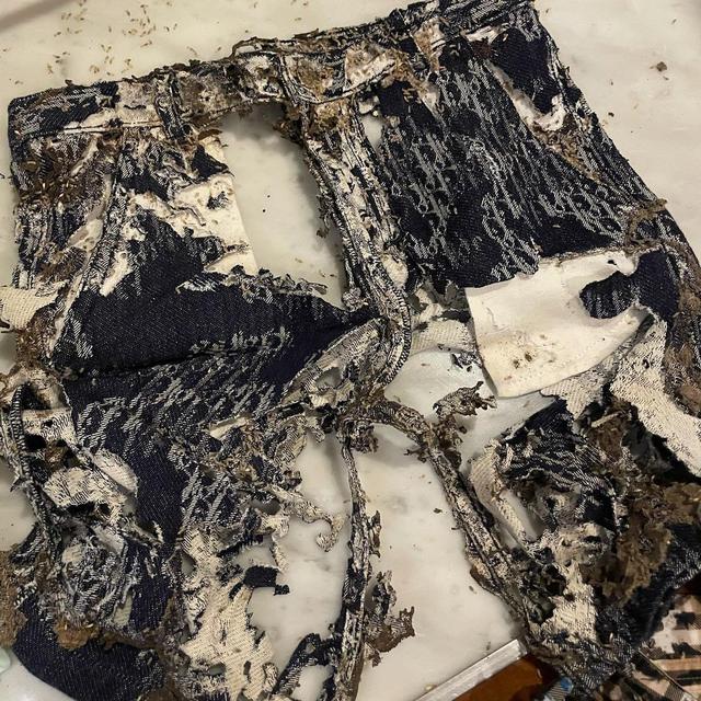 7 Potret Baju Branded Anak Rachel Vennya Dimakan Rayap, Ditaksir Jutaan Rupiah