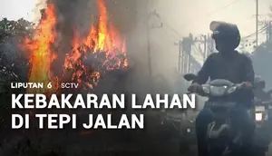 Kebakaran Lahan di Tepi Jalan