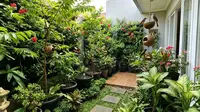 9 Model Kebun Rumah yang Mengundang Burung Berkicau, Asri dan Menenangkan