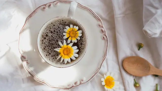 Teh Bunga Chamomile