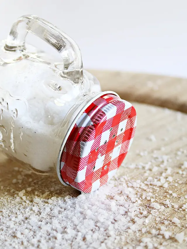 Monosodium Glutamat (MSG)