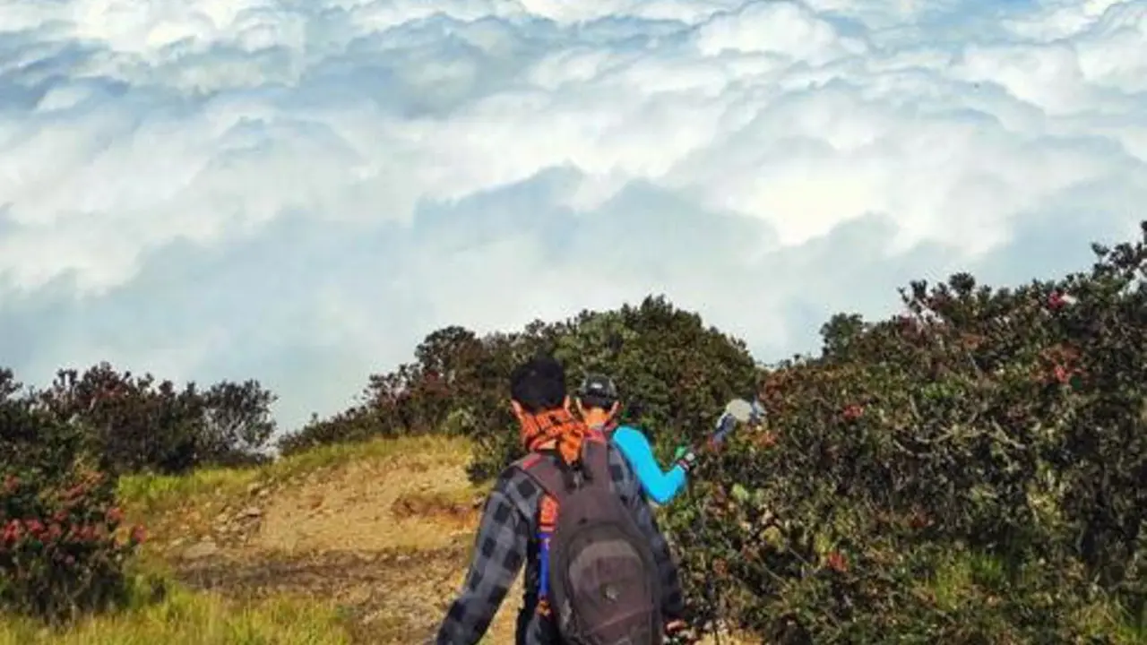 6 Hal yang Harus Kamu Tahu Sebelum Mendaki Gunung Lawu