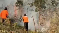 Hutan Lereng Gunung Lawu Kebakaran, Medan Sulit Jadi Kendala Pemadaman