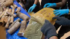 Petugas memeriksa kotak berisi potongan gading di bandara Bangkok, Selasa (7/3). Thailand telah menyita lebih dari 300 kilogram gading dari Malawi pada penerbangan ke bandara utama ke Bangkok. (AFP PHOTO / Roberto SCHMIDT)