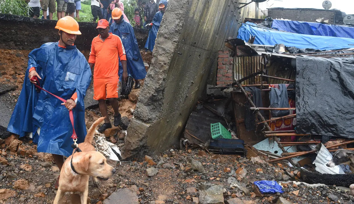 Petugas penyelamat menggunakan anjing mencari korban di lokasi runtuhnya tembok di Mumbai, India (2/7/2019). Tragedi tersebut terjadi ketika pemukiman pantai yang dipenuhi 20 juta penduduk dihantam hujan lebat selama dua hari berturut-turut, membuat kota terhenti total. (AFP Photo/Punit Paranjpe)