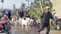 Warga dibantu dengan petugas BPBD Lumajang mulai mengevakuasi hewan ternak yang berada di zona merah APG  Gunung Semeru (Istimewa)