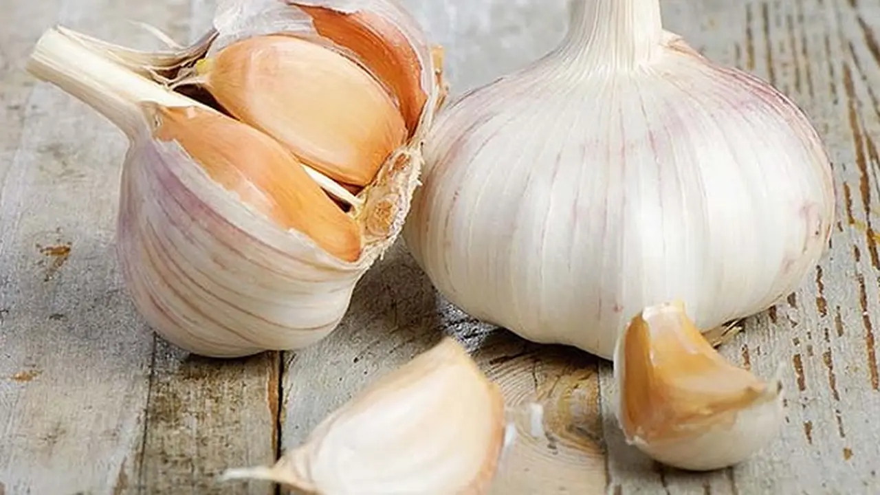 bawang-putih-131017c.jpg