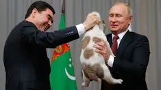 Presiden Rusia, Vladimir Putin (kanan) menerima anjing gembala Turkmen atau dikenal sebagai Alabai dari Presiden Turkmenistan Gurbanguly Berdimuhamedov saat pertemuan di Sochi, Rusia (11/10). (AFP Photo/Pool/Maxim Shemetov)