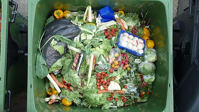Kulit buah, kulit sayur, kotoran manusia dan kotoran hewan merupakan jenis limbah