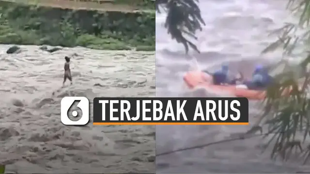 Ia terjebak di tengah sungai dan bertahan di atas batu.