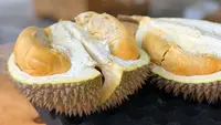 Arti Warna Duri pada Kulit Durian, Penanda Matang atau Varietas?