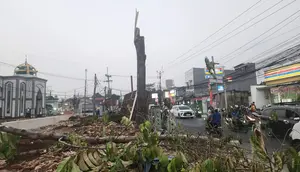 Jatuh dari Pohon Setinggi 7 Meter, Pekerja Proyek di Depok Kritis