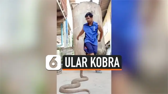 kobra breakdance