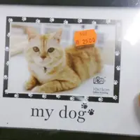 Jangan lihat gambar-gambar berikut ini kalau nggak mau bete seharian pas lagi PMS! (Via: buzzfeed.com)