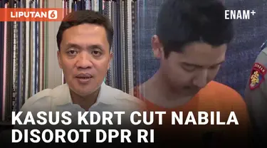 Habiburokhman Kecam Aksi KDRT yang Dilakukan Suami Cut Nabila