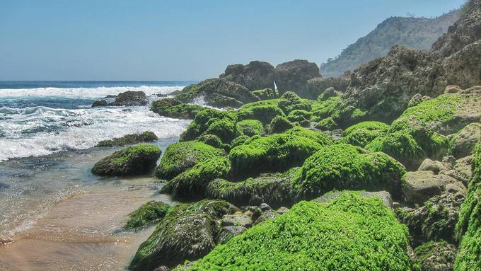 Pantai Lumbung Menilik Cantiknya Pesisir Tulungagung