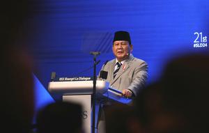 Presiden Prabowo Subianto konsisten mendukung perjuangan kedaulatan Palestina