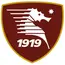 Salerno Calcio adalah klub sepak bola Italia yang bermarkas di kota Salerno, Campania.