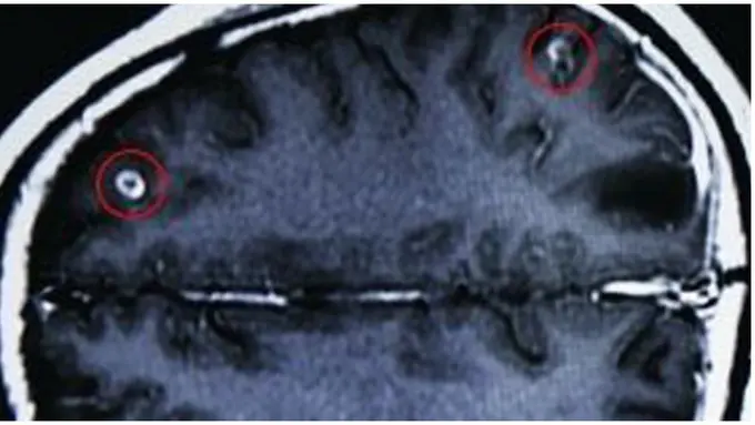 Foto: copyright rocketnews24.com